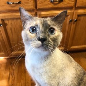 Meet your Posher, Renate